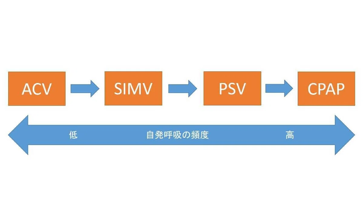 プレゼンテーション1