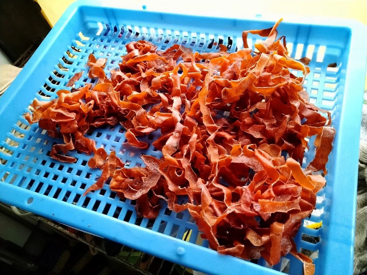 画像9