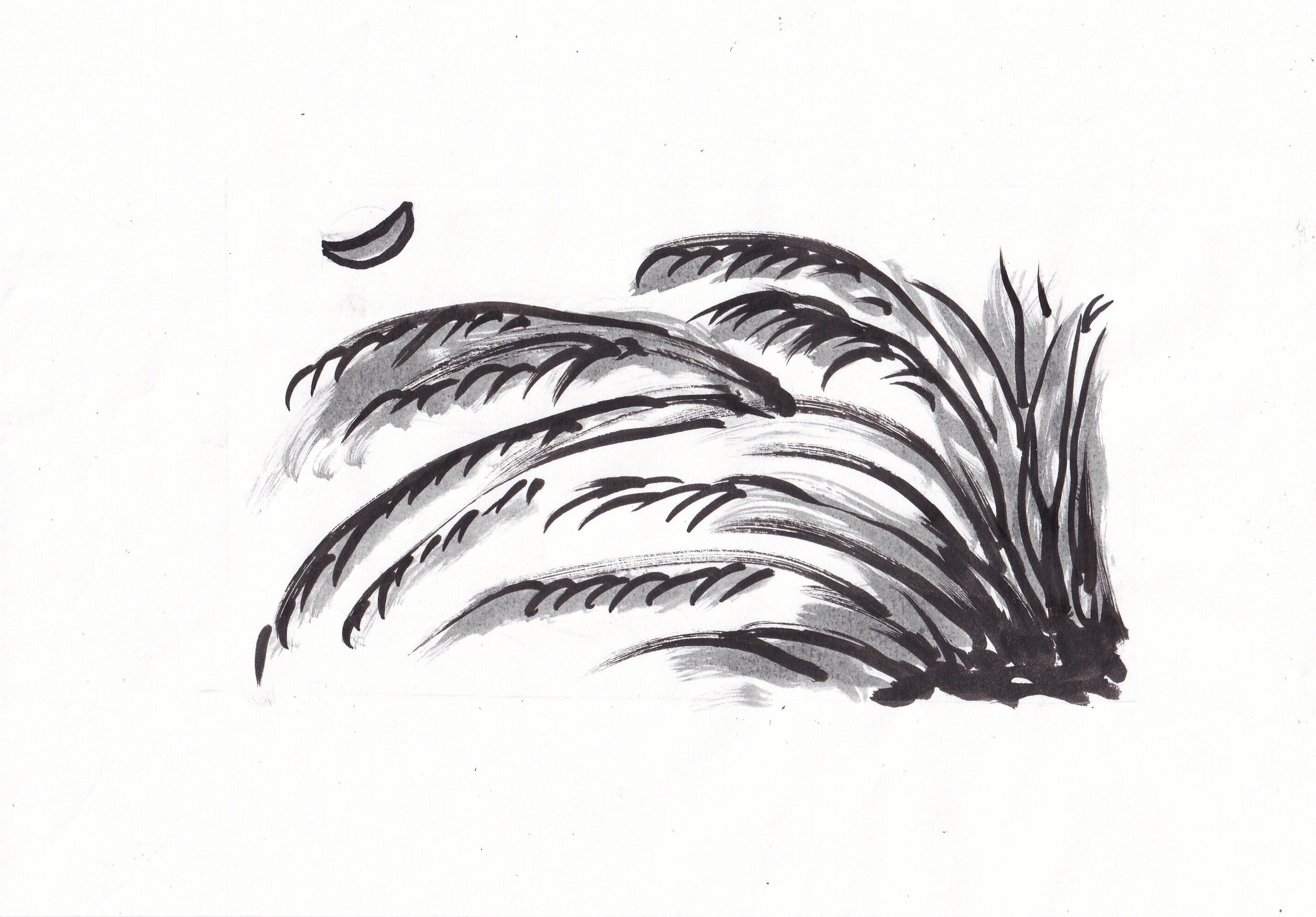 揺れ止まぬ混沌の世や枯尾花 ばあばの俳句 11月25日 山田幸子フリーアナウンサー Note