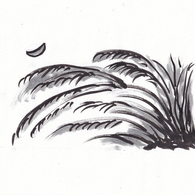 揺れ止まぬ混沌の世や枯尾花 ばあばの俳句 11月25日 山田幸子フリーアナウンサー Note