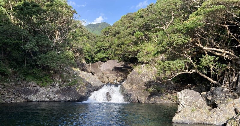 山と海の繋がりを体感する屋久島の旅１.伊賀の米農家がなぜ屋久島へ？