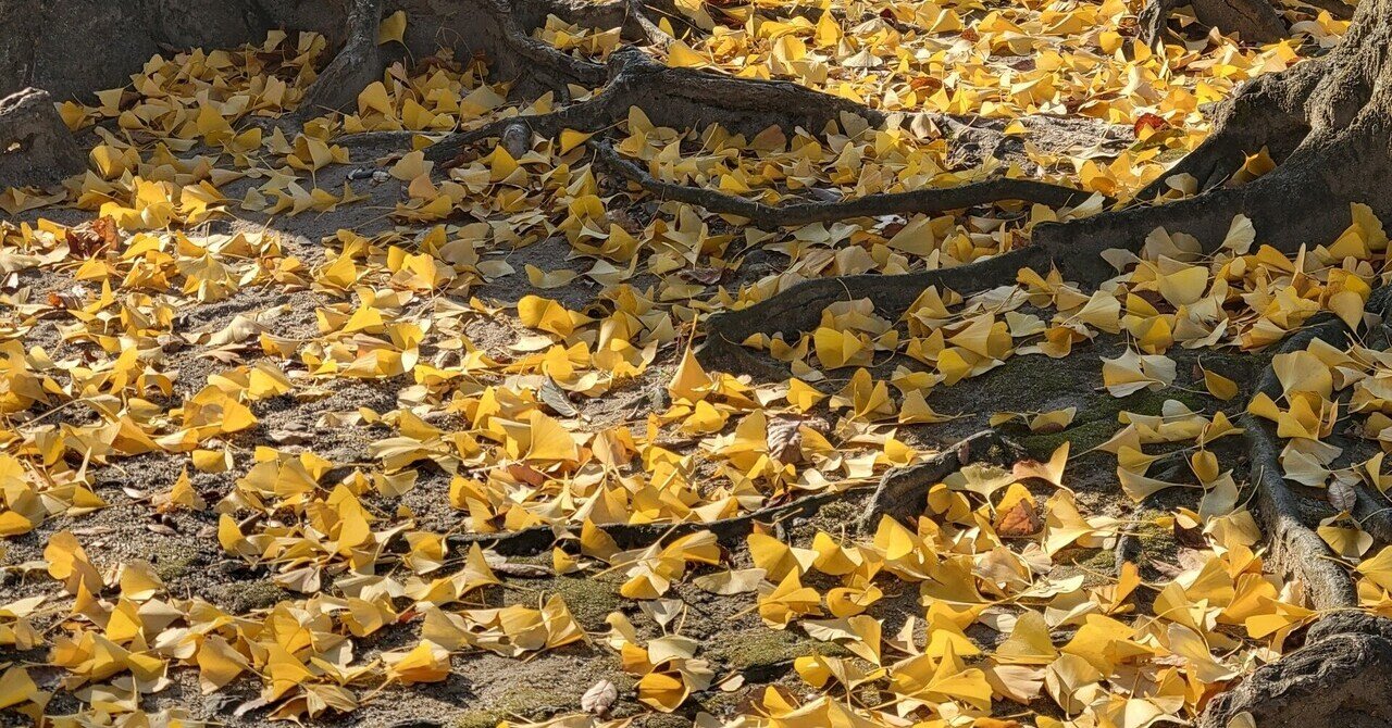 11/25 NICO Touches the Walls @東京・赤坂BLITZ「1125/2016」｜coco