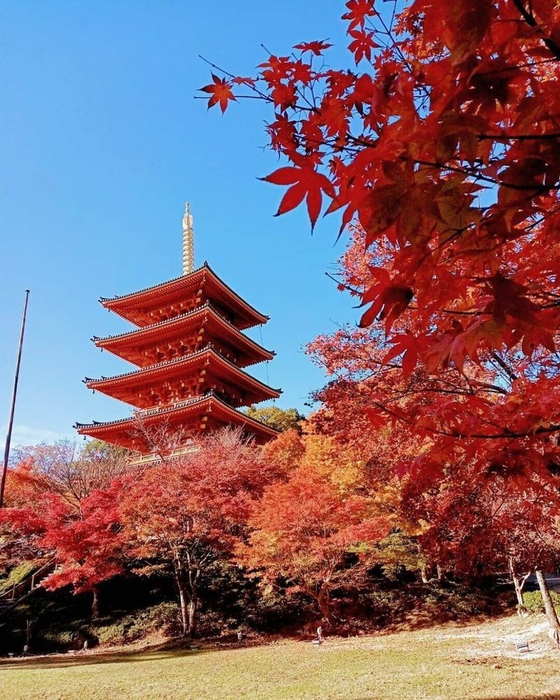 京都北部の紅葉穴場スポット 今まさに見頃の成相寺 成相寺 Note