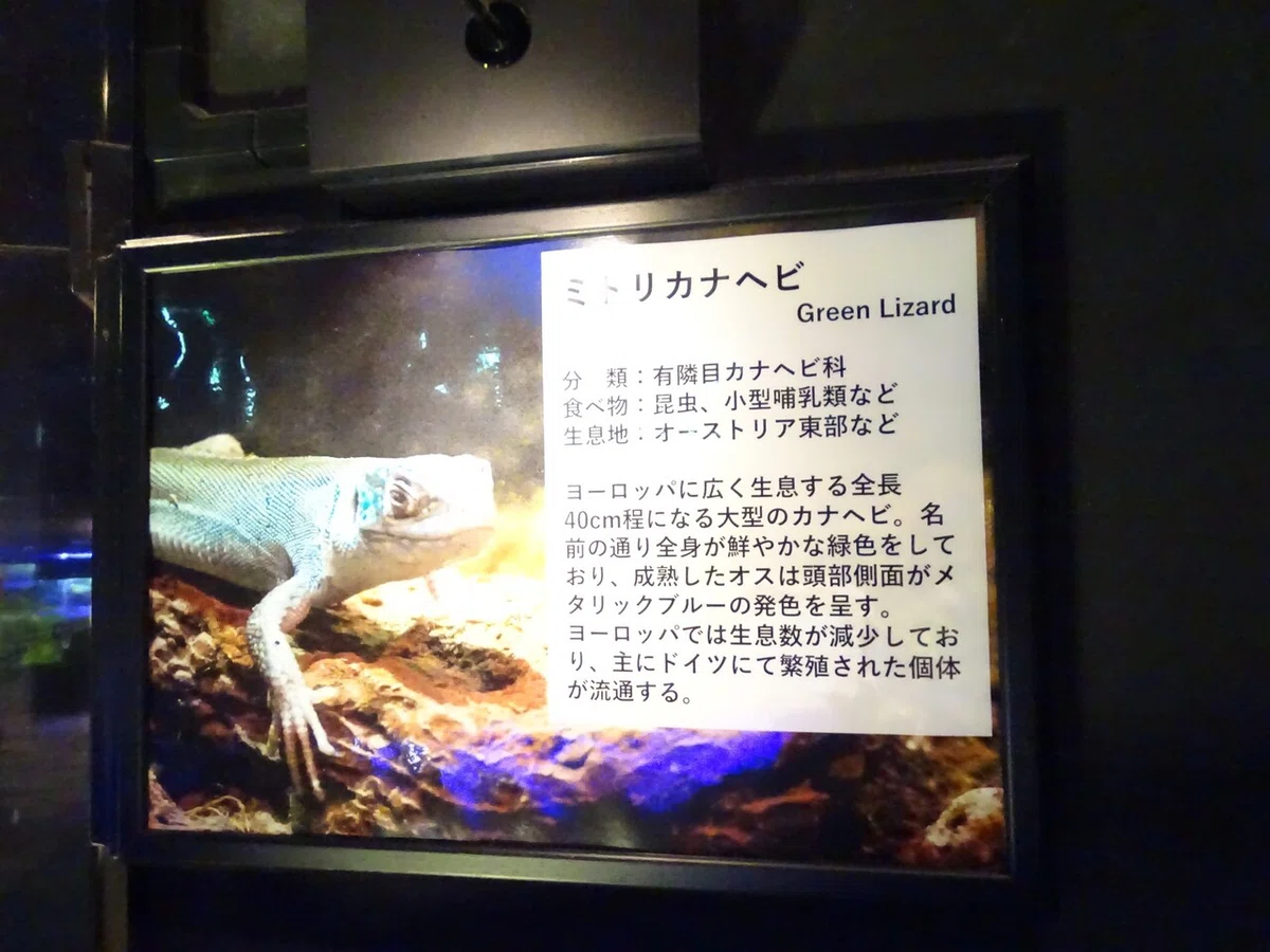 画像68