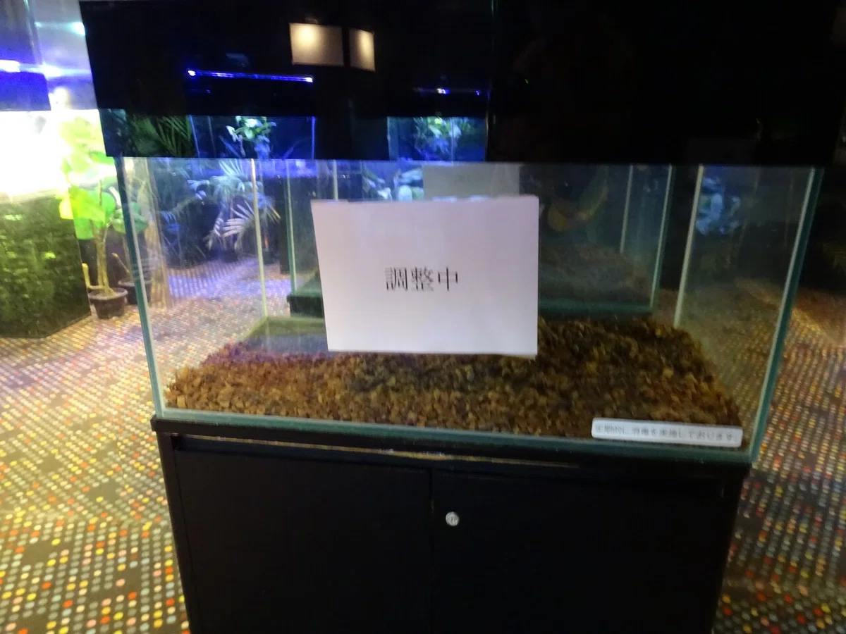 画像65