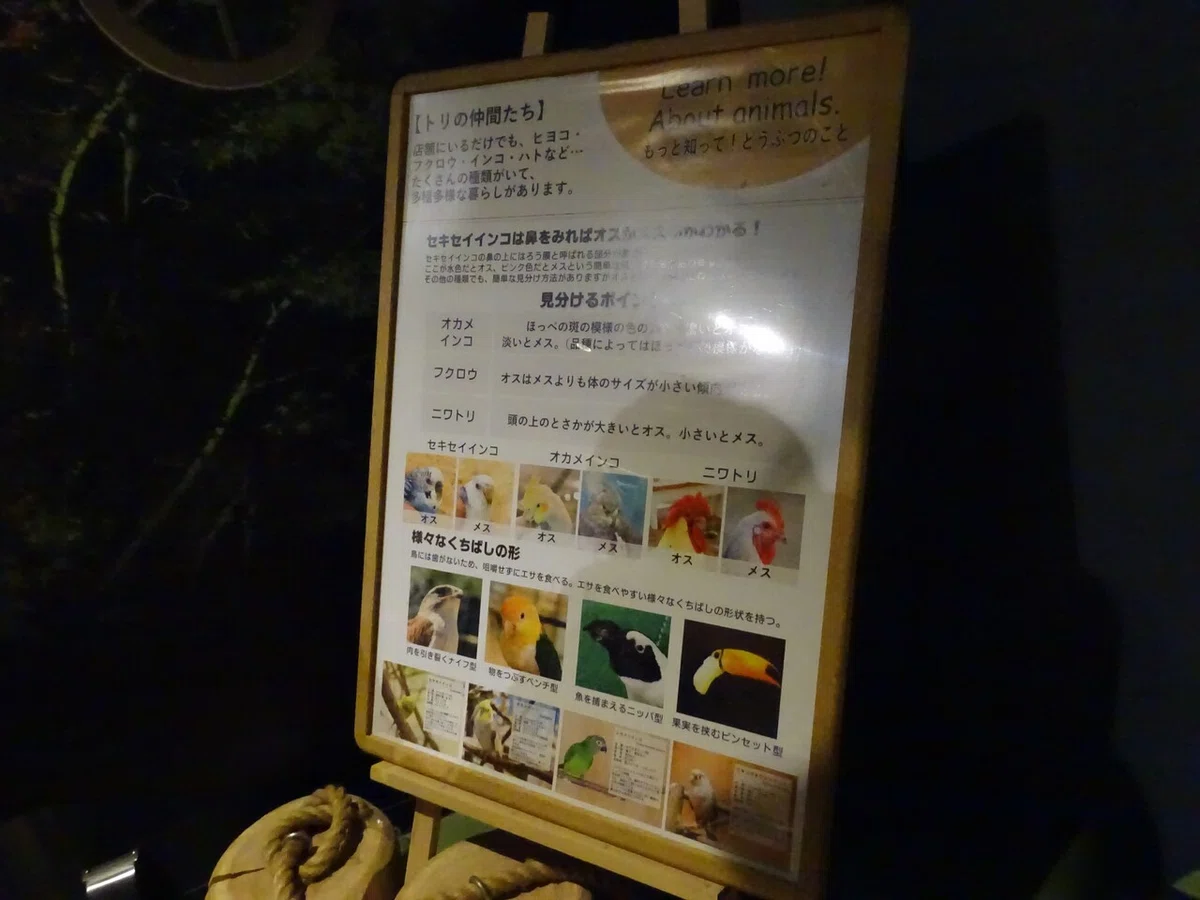 画像94