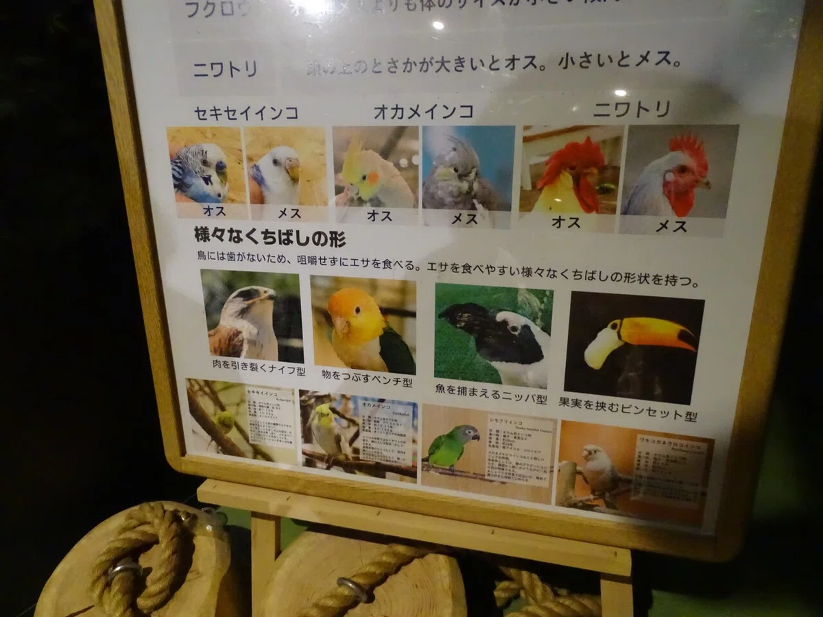 画像95