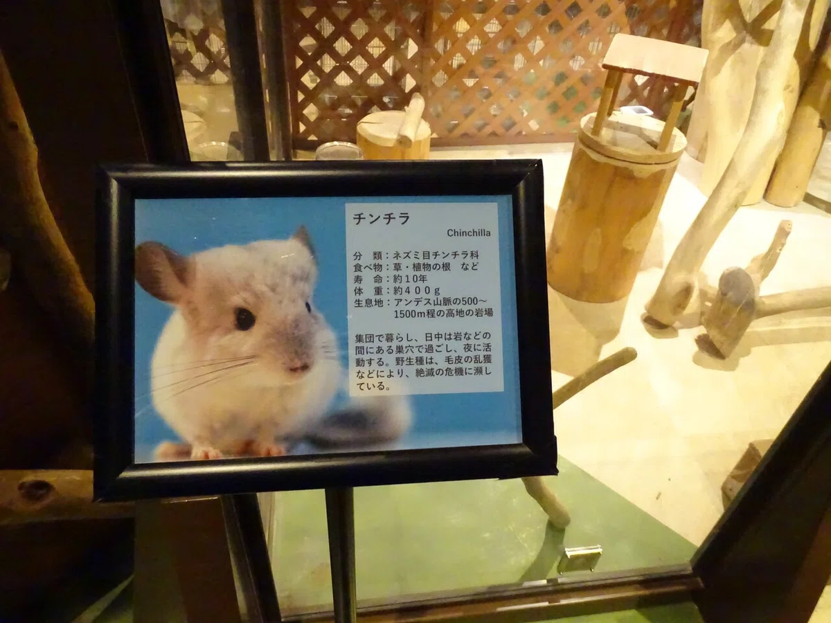 画像82