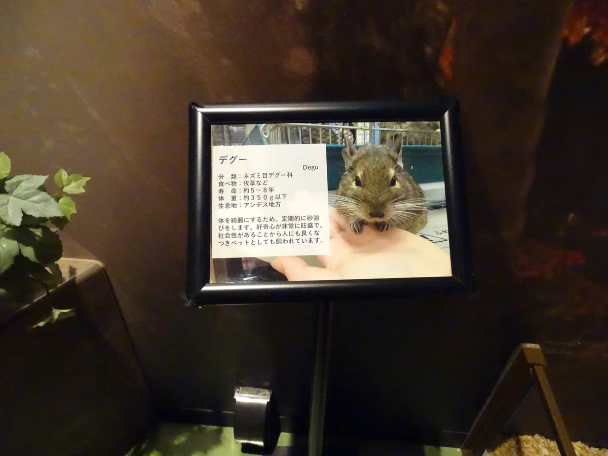 画像79