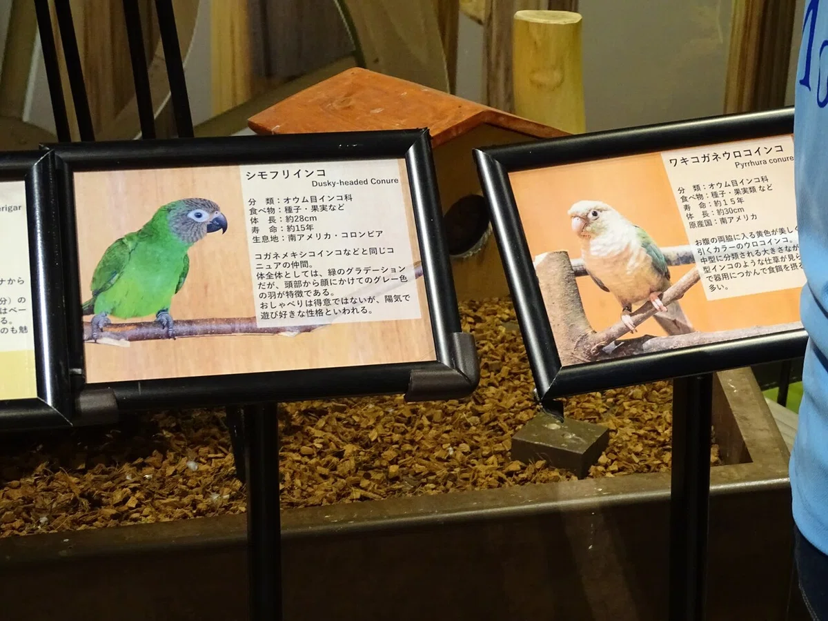 画像101