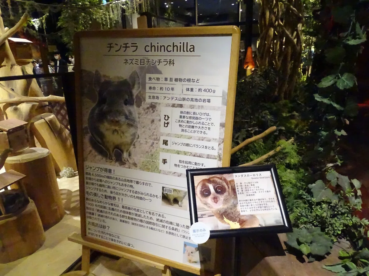 画像83