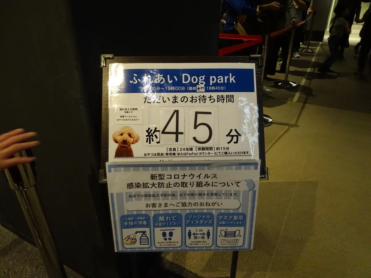 画像114