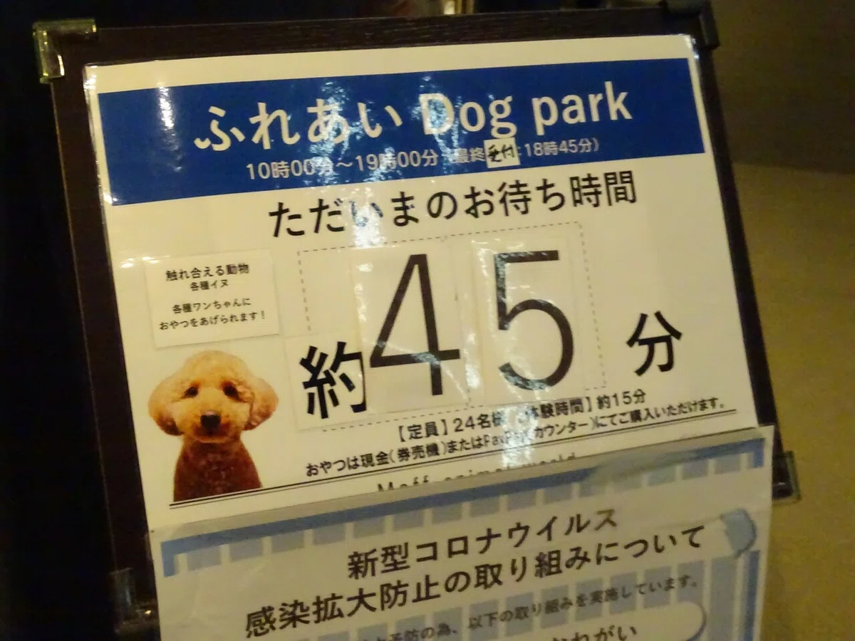 画像118