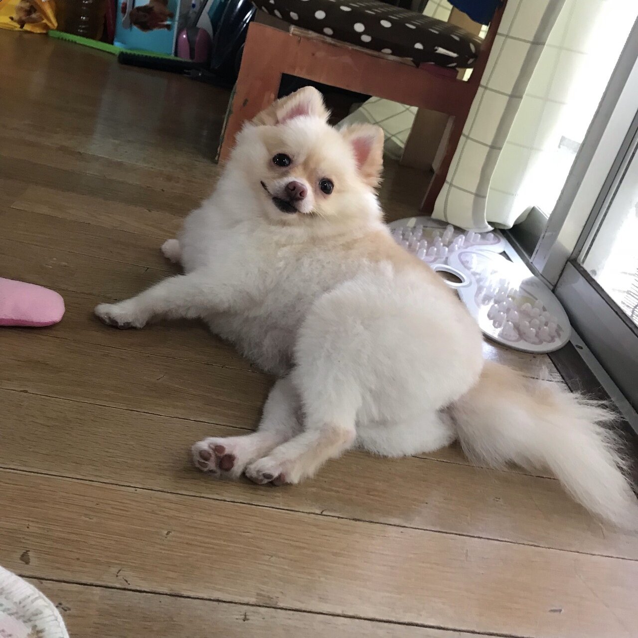 第4回：こうたろう】ロッキョクイチバン！インタビュー｜お笑いライブ