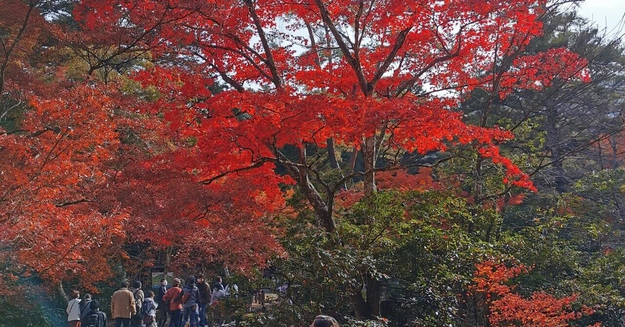 紅葉登山に行ってきました【宮島・弥山】｜ゆるゆる登山家ムラマミ