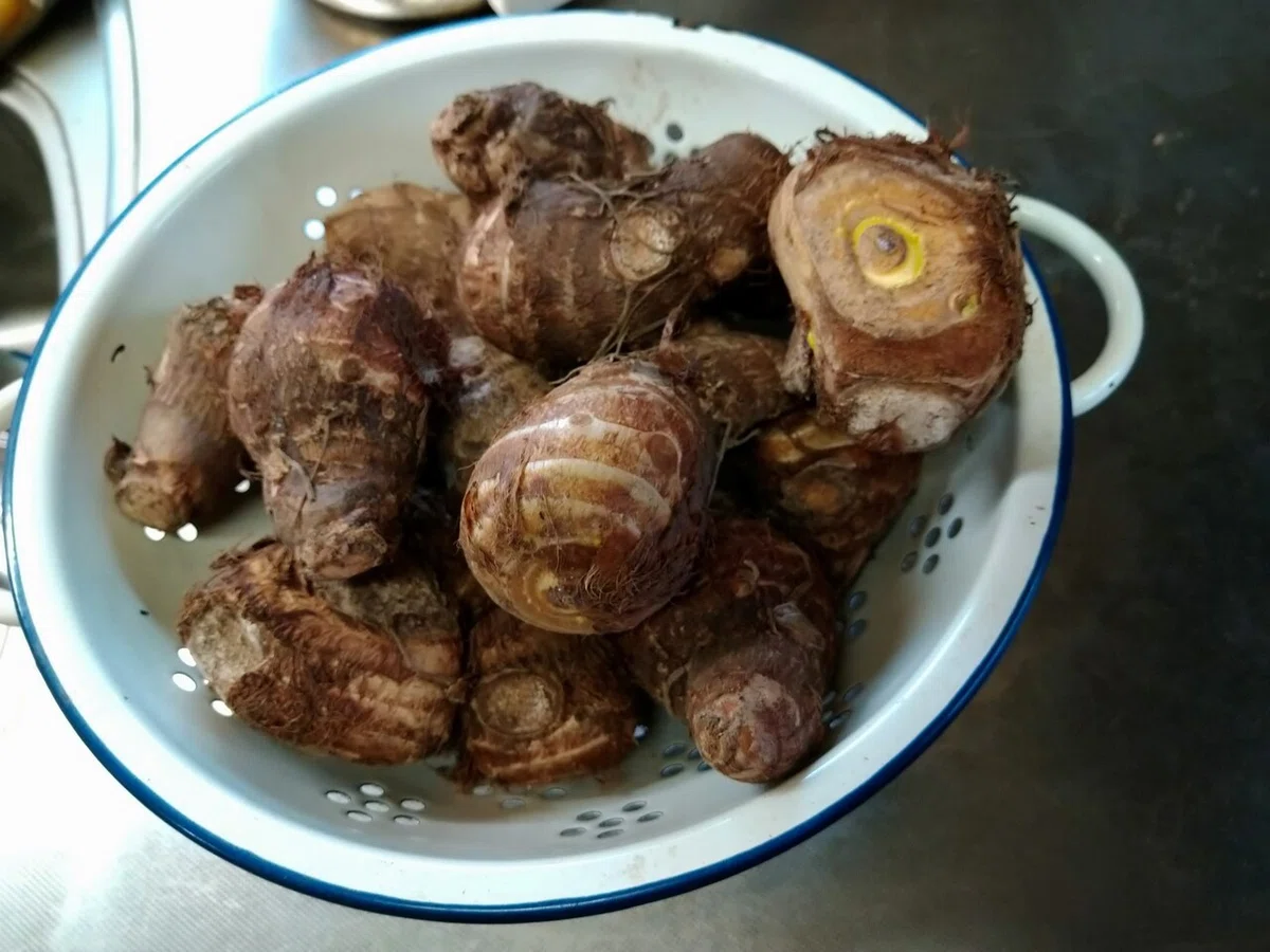 画像8