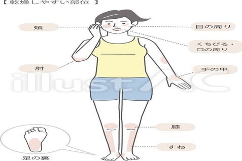 ドライスキン の新着タグ記事一覧 Note つくる つながる とどける