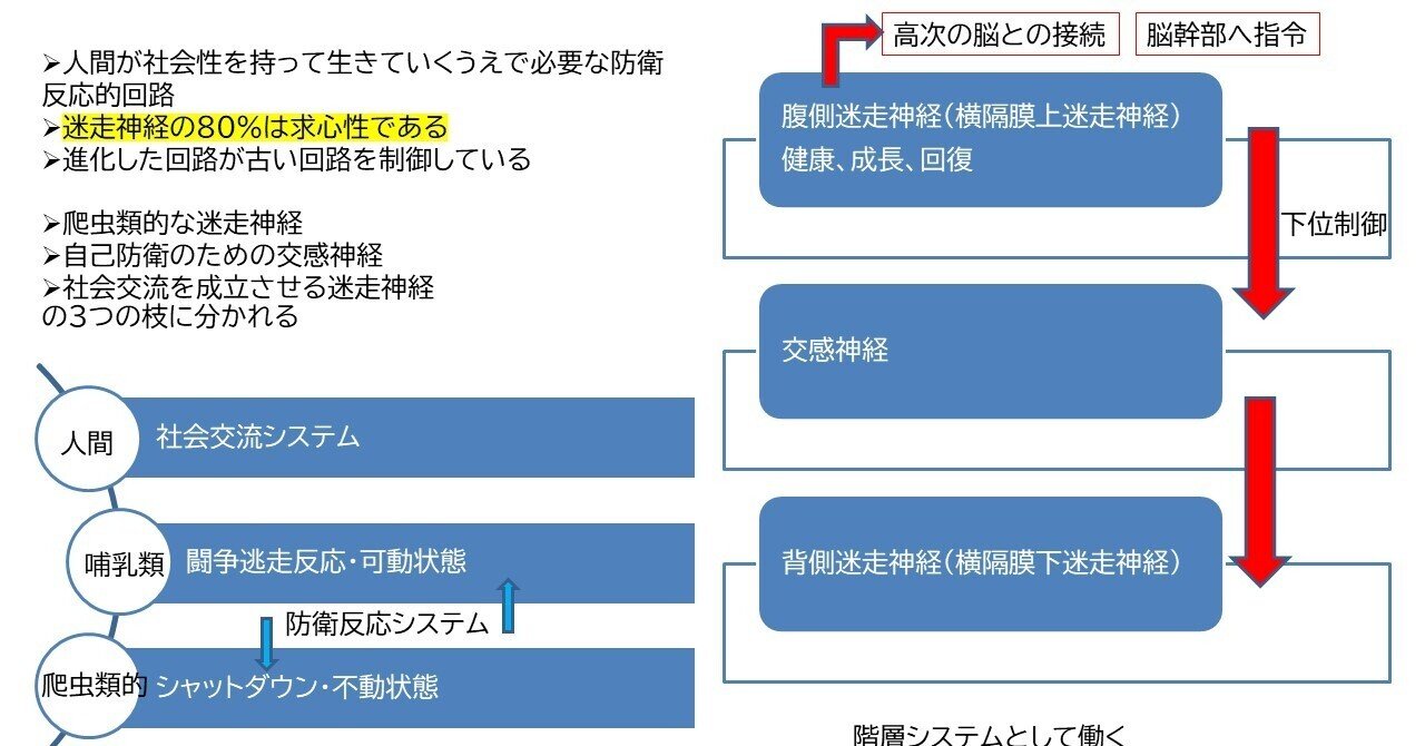 知覚のなかの行為 知覚のなかの行為（シリーズ現代哲学への招待Great Works） | A
