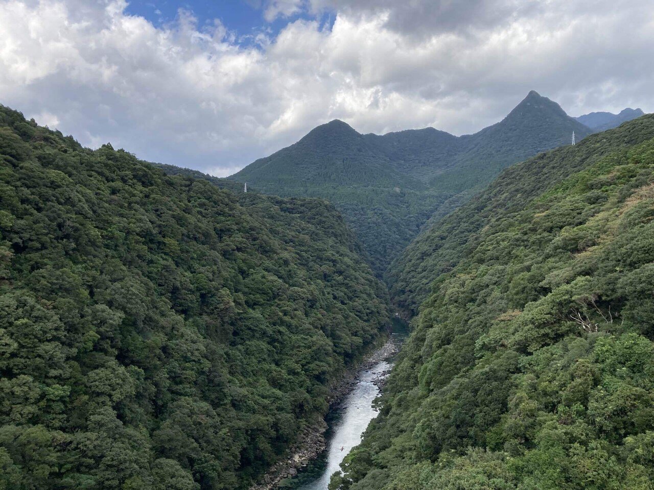 山と海の繋がりを体感する屋久島の旅3.山の神秘に触れる｜大森