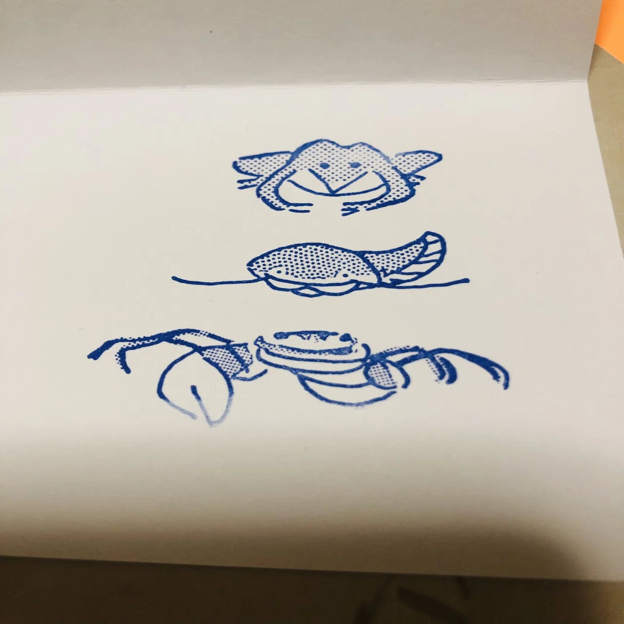 動物の絵 日本とヨーロッパ ふしぎ・かわいい・へそまがり (府中市