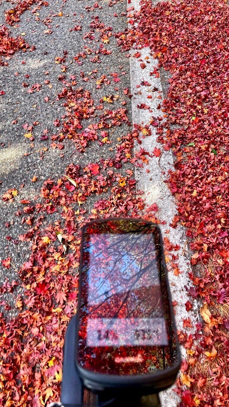 画像11