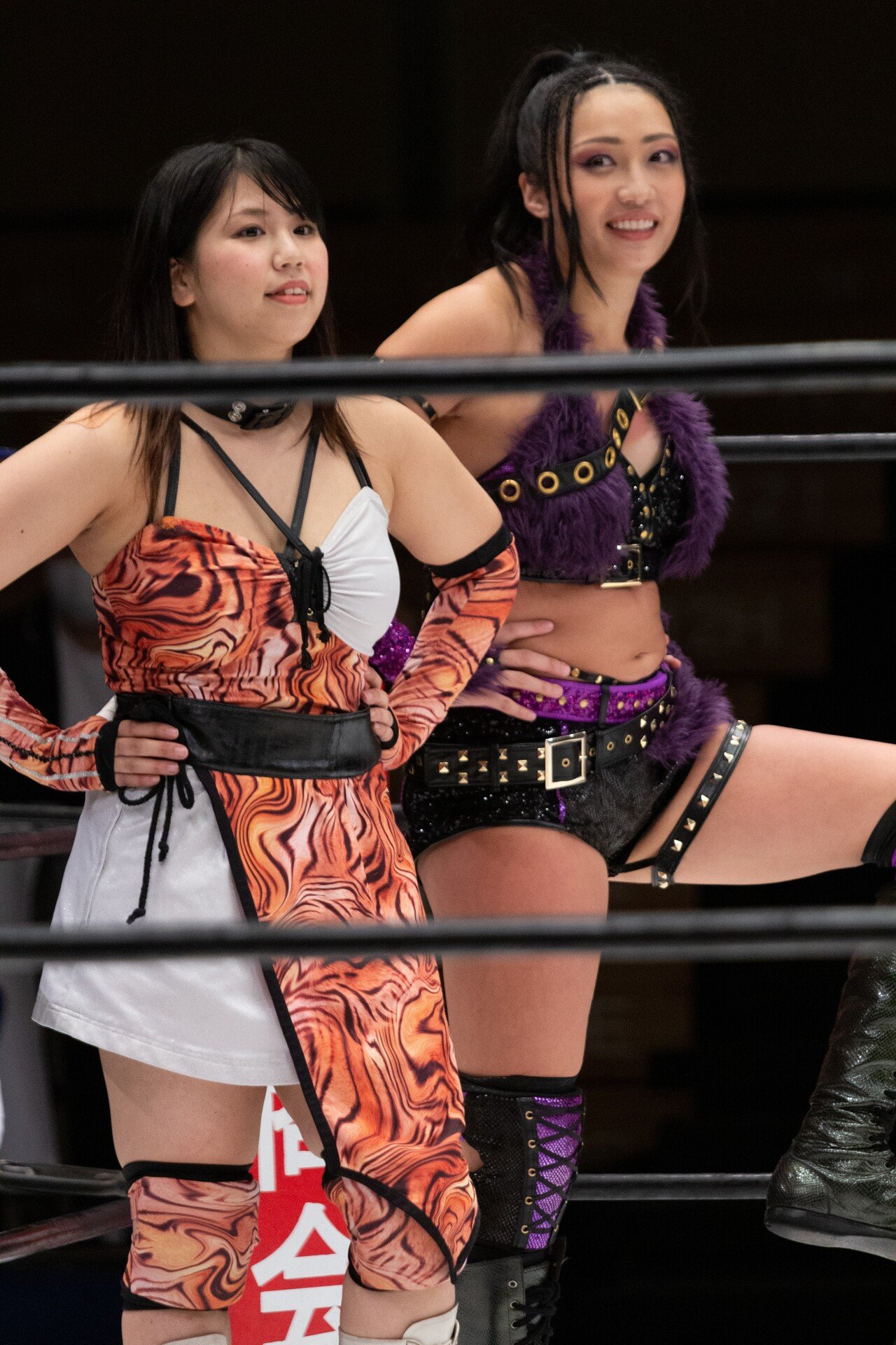 プロレス 無 修正