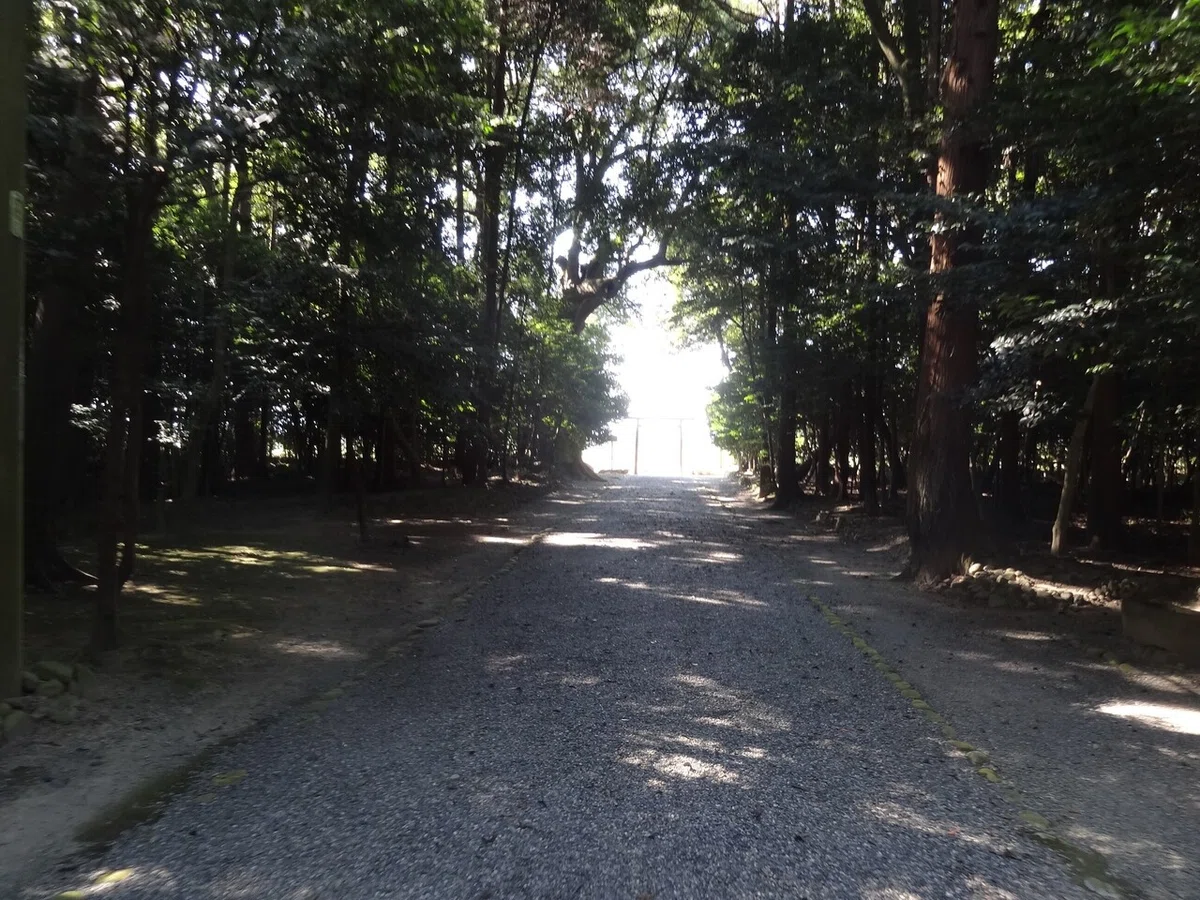 画像11
