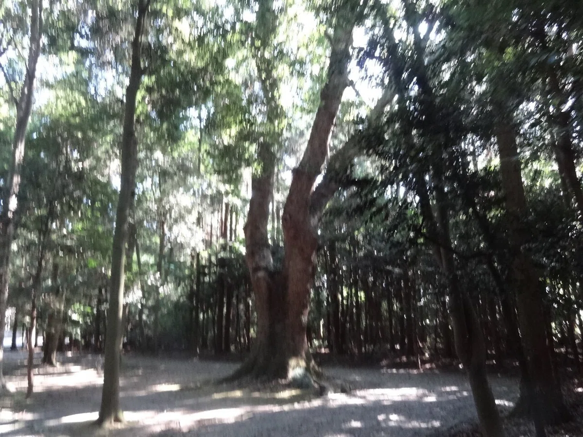 画像14