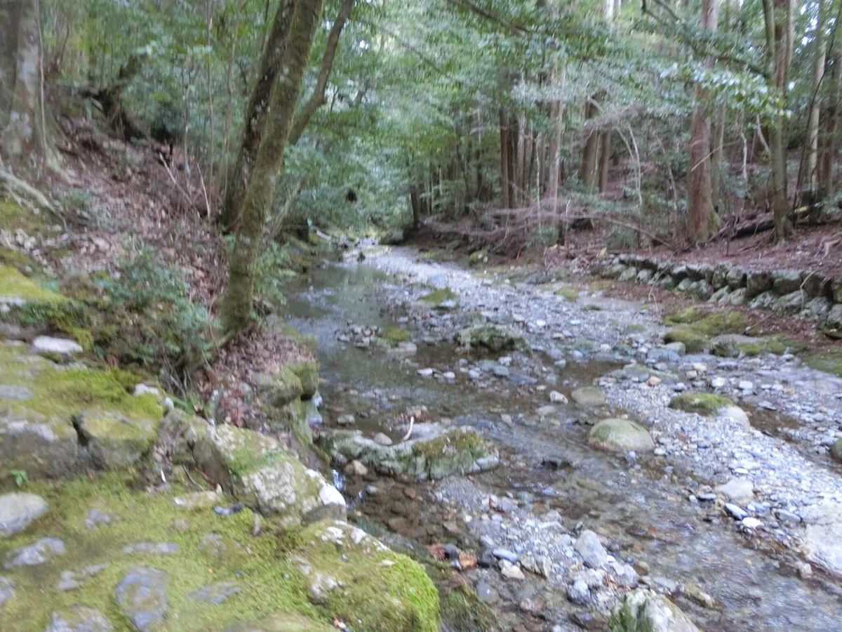 画像6