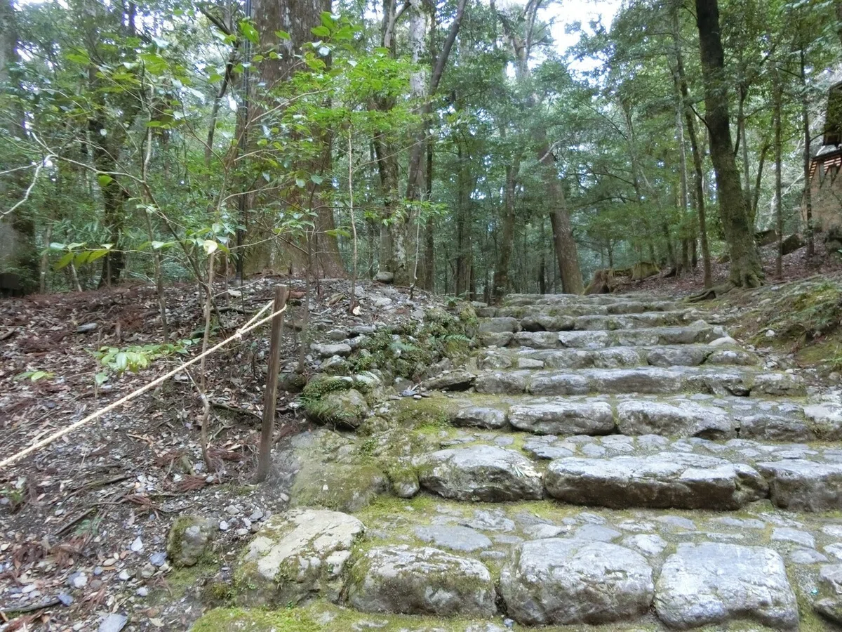 画像8