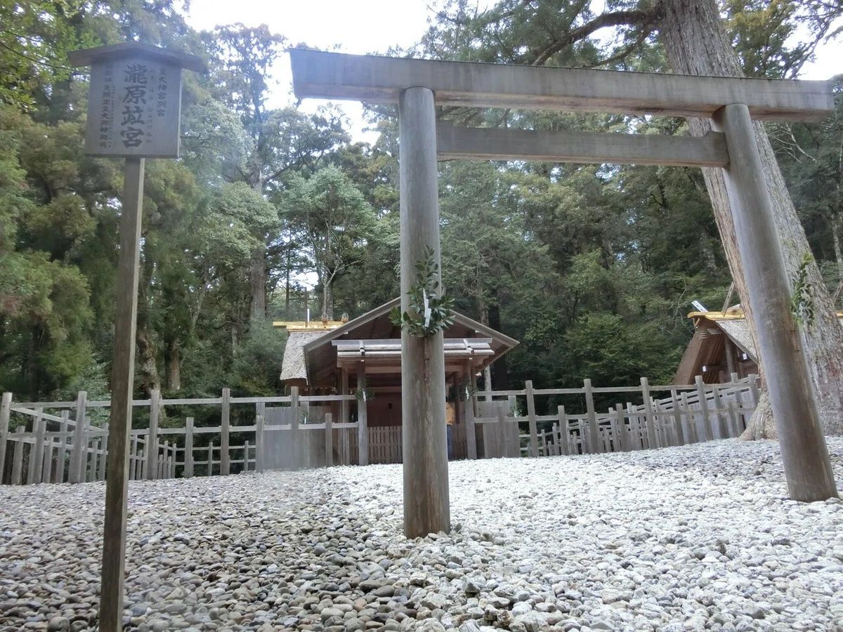 画像12