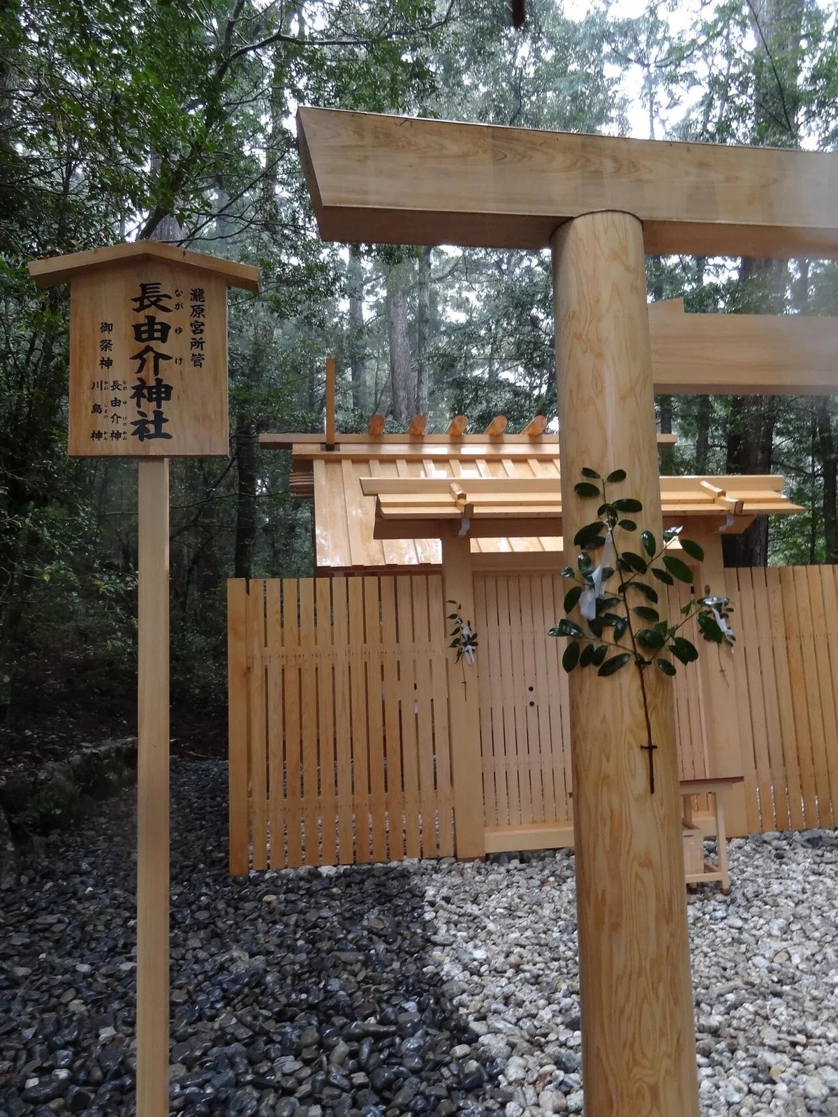 画像19