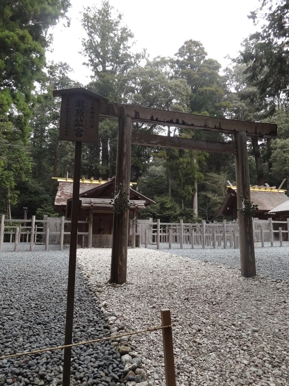 画像27