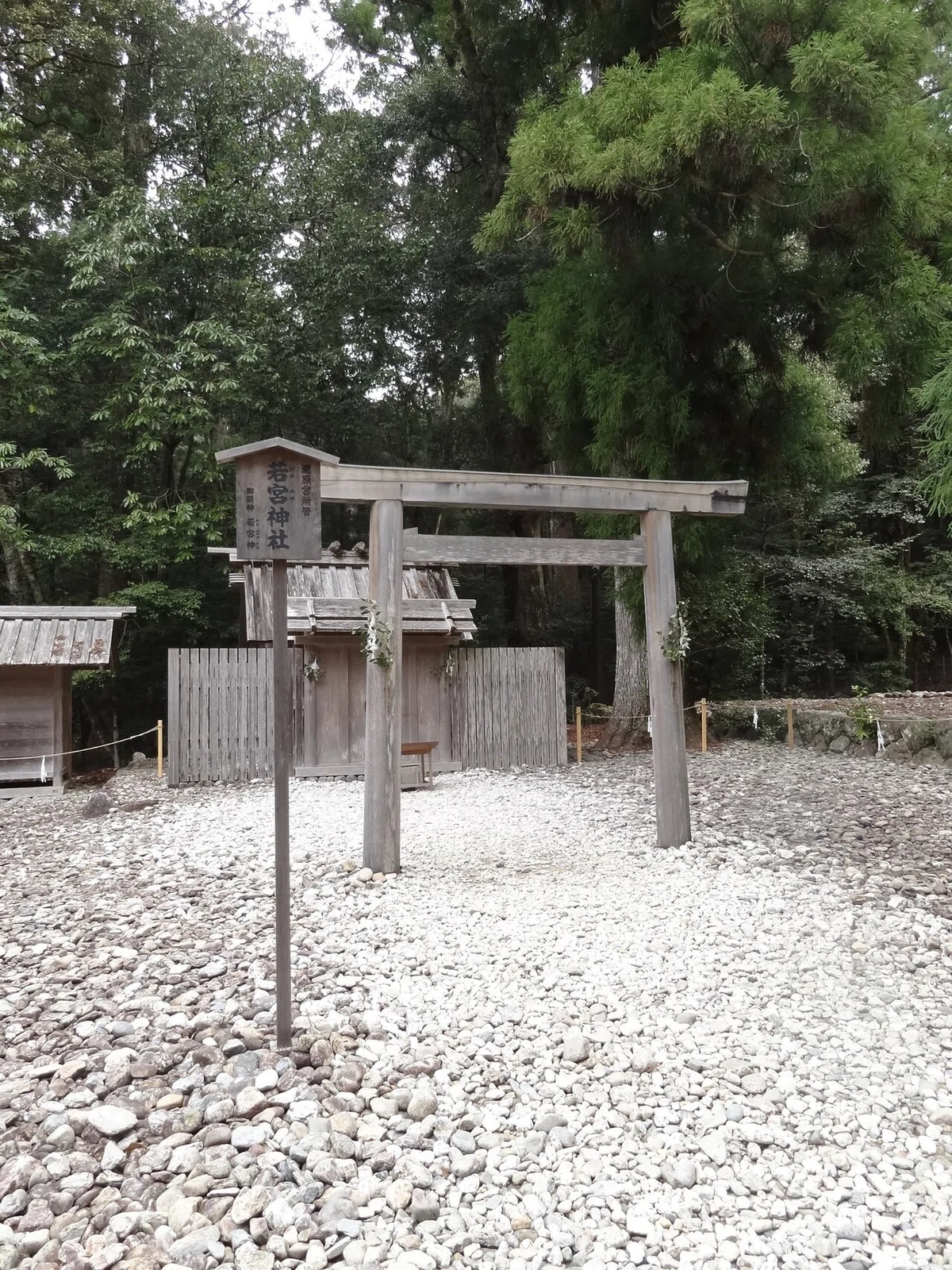 画像28