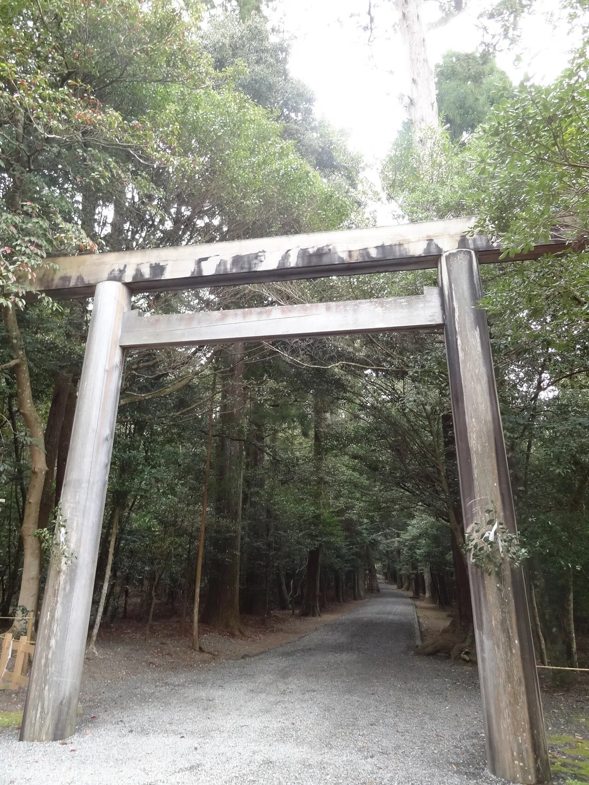 画像33