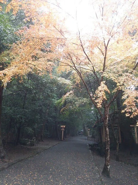 画像39