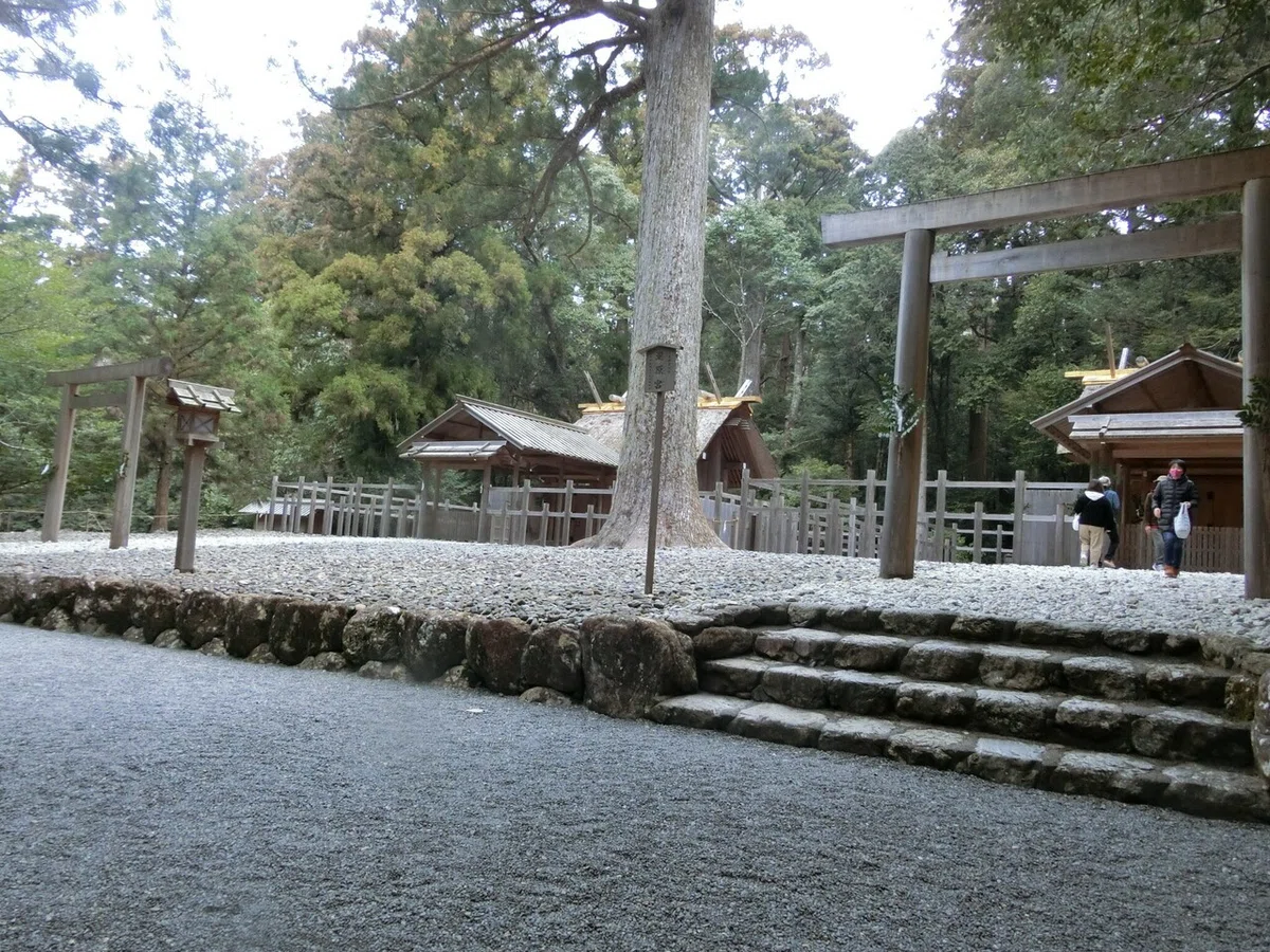画像44