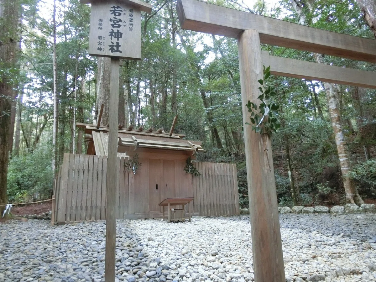 画像48