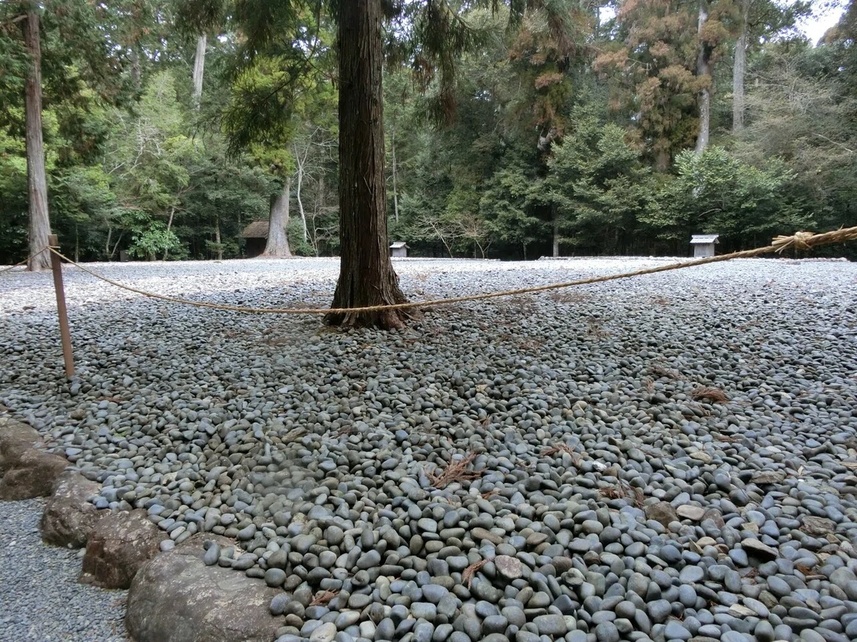 画像50