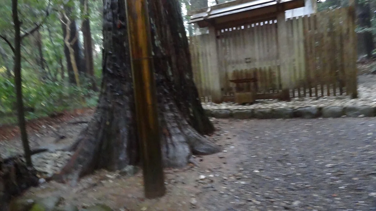 画像52