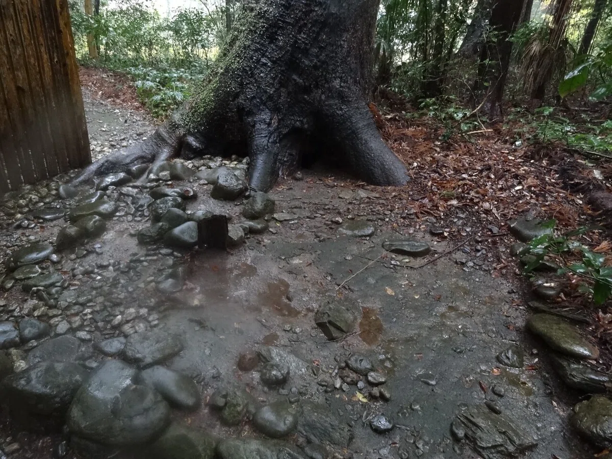 画像53