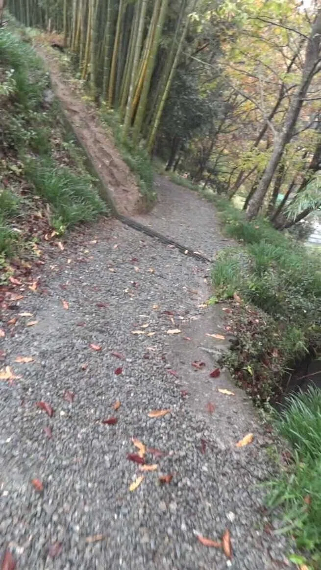 画像54