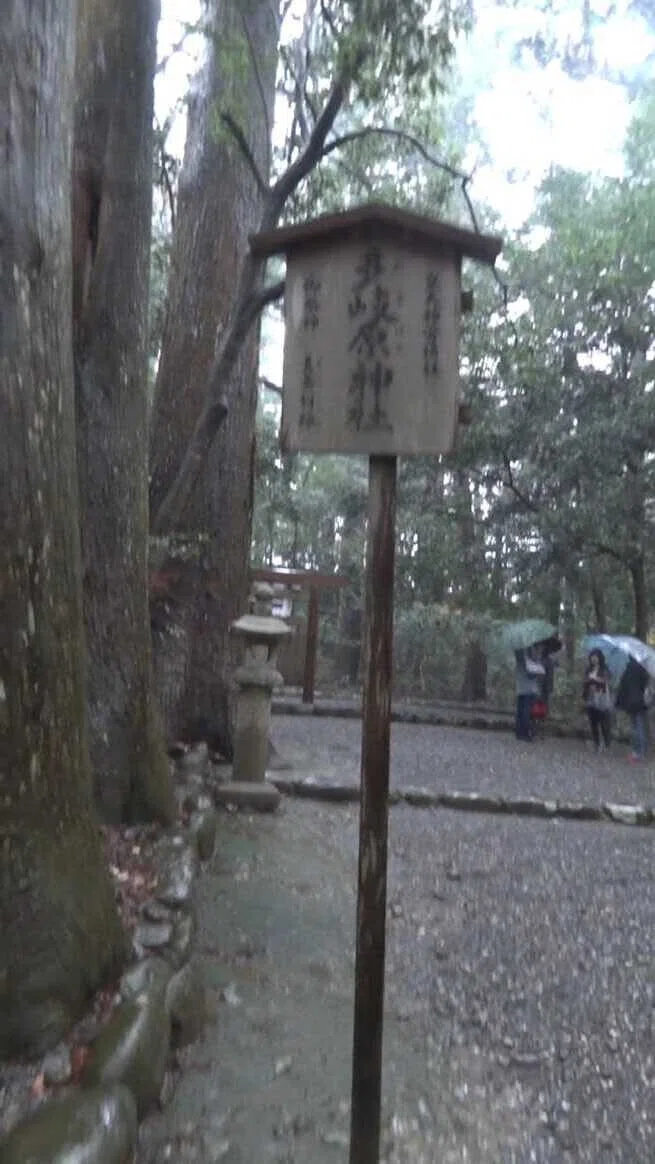 画像55