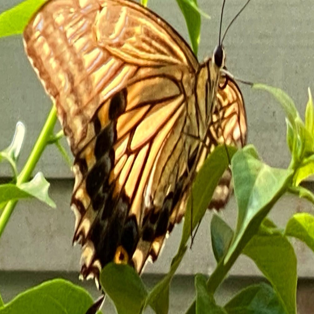 僕の知ってる山本鈴美香｜鷹松広志