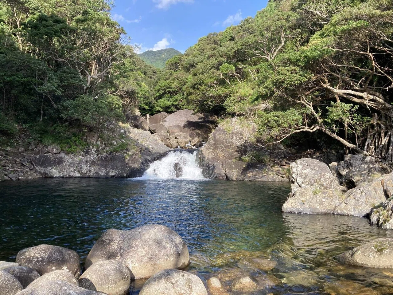 山と海の繋がりを体感する屋久島の旅3.山の神秘に触れる｜大森 雄貴