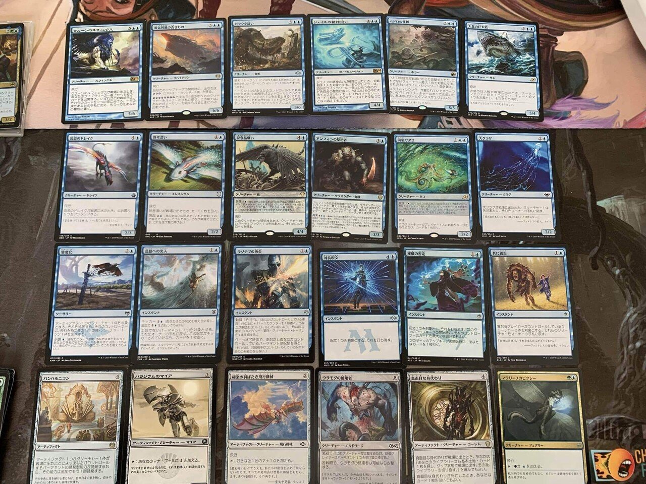 5000円くらいEDH】モンスター見聞家、ヴォーロ|satosato_satoru