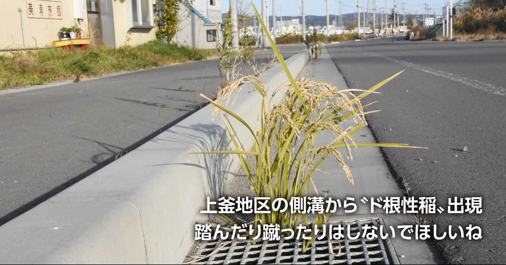 石巻日日新聞