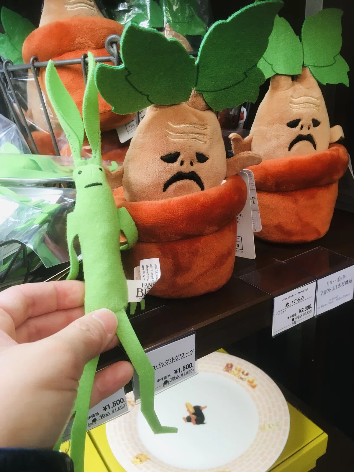 画像6