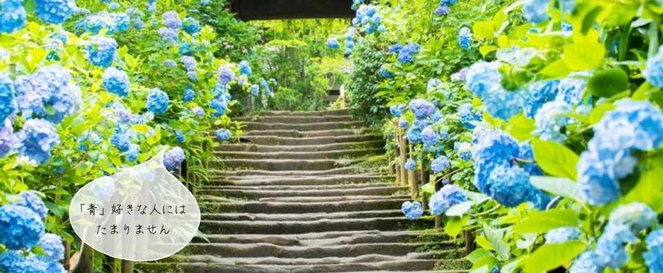 6月のto Do リストはこれ 梅雨が始まる時期だからこそ6月にしたい10のこと 365daysまいにち東京 の場合 ライツ社