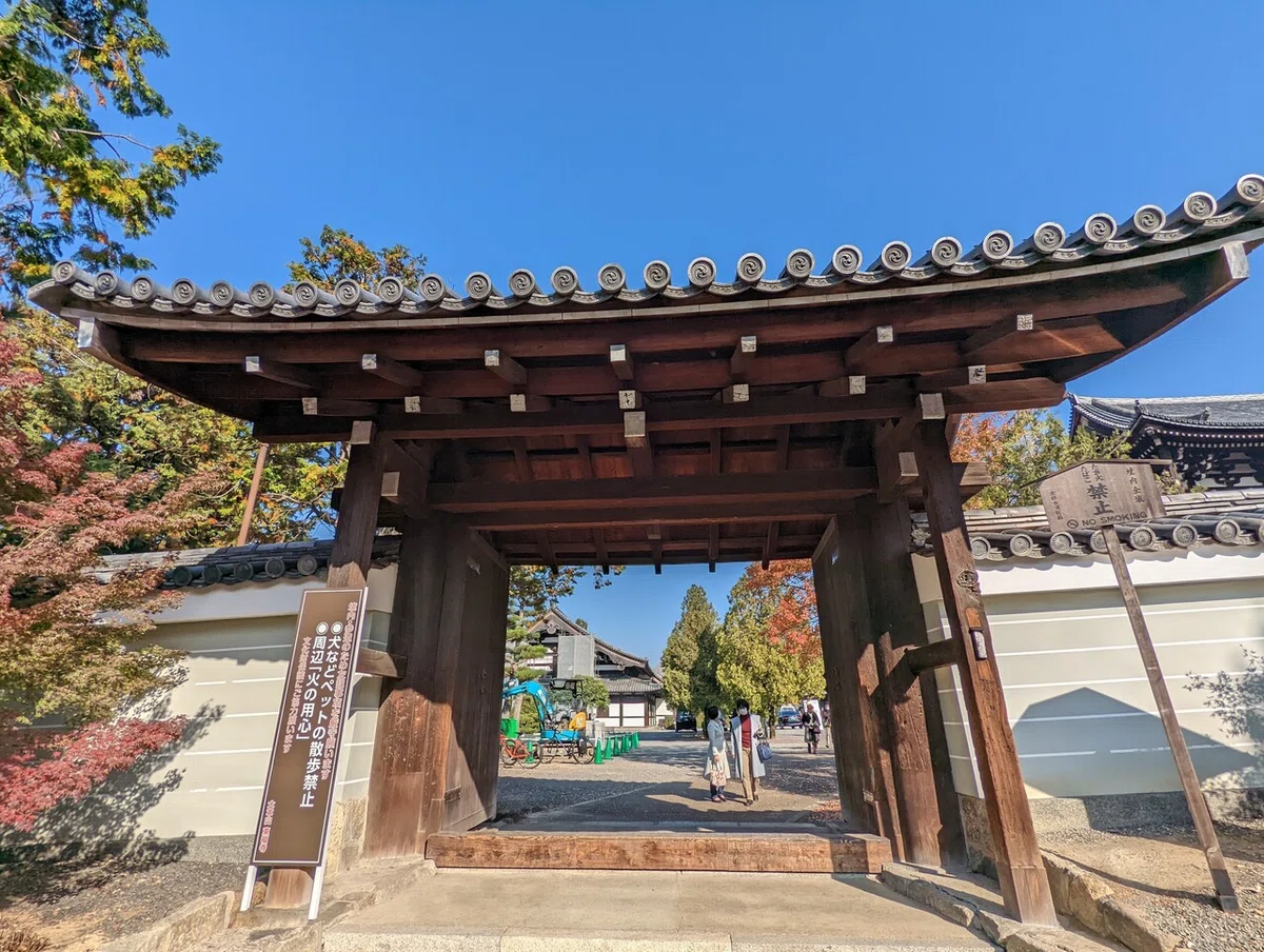 画像7
